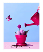 Load image into Gallery viewer, Rosie Posie
